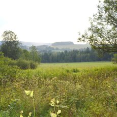 Pozemek o výměře 8040 m2, obec Borová Lada, okr. Prachatice