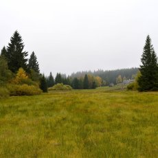 Pozemek o výměře 5181 m2, obec Stachy - Churáňov, okr. Prachatice